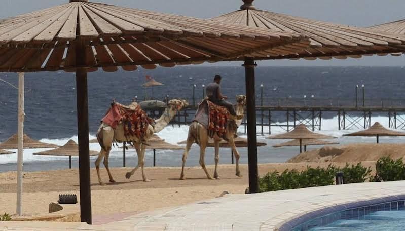 Life Resort Coral Hills El Qoseir Exterior foto